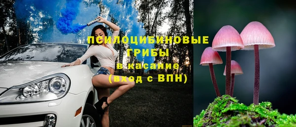 тгк Горнозаводск