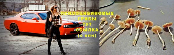дистиллят марихуана Горняк